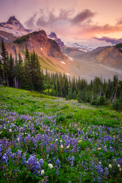 Images from Summerland Trail On Mount Rainier in the Pacific Northwest Of Washington State