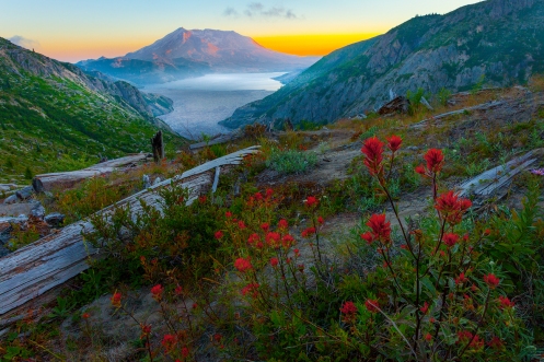 Images from Mt St Helens in Washington State