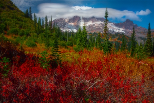 Images from Mount Rainier in the Pacific Northwest Of Washington State