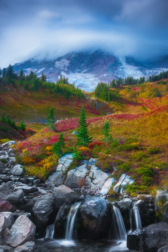 A Trail Of Color and Myrtle Falls Beneath Mt Rainier